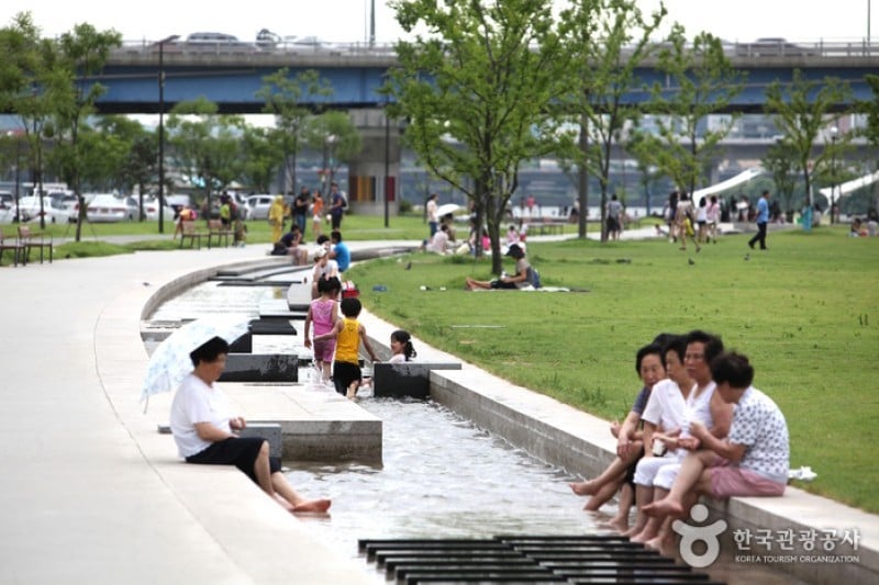 漢江市民公園 汝矣島地区（汝矣島漢江公園）한강시민공원 여의도지구