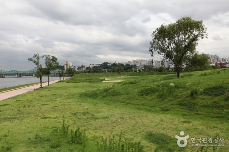 漢江市民公園 汝矣島地区（汝矣島漢江公園）한강시민공원 여의도지구
