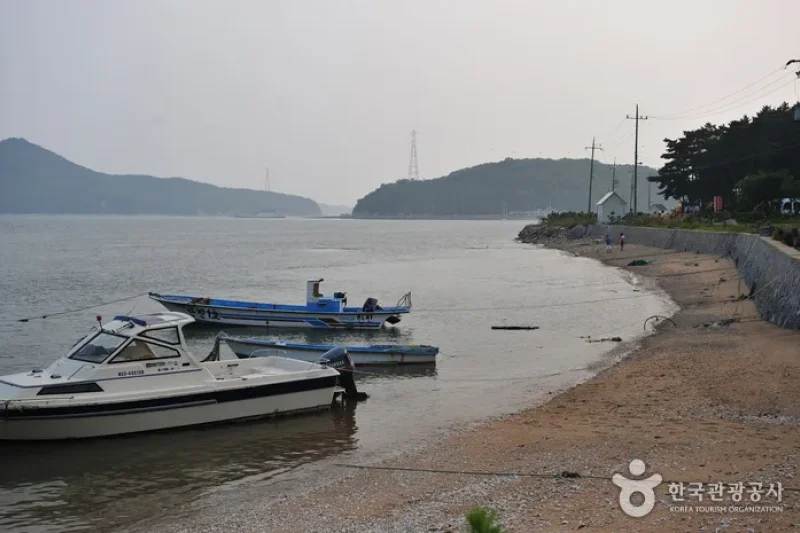 巨蚕浦海岸