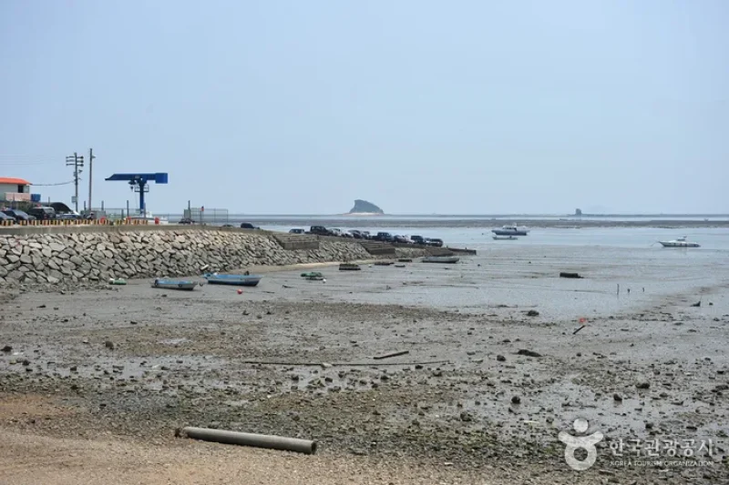 巨蚕浦海岸