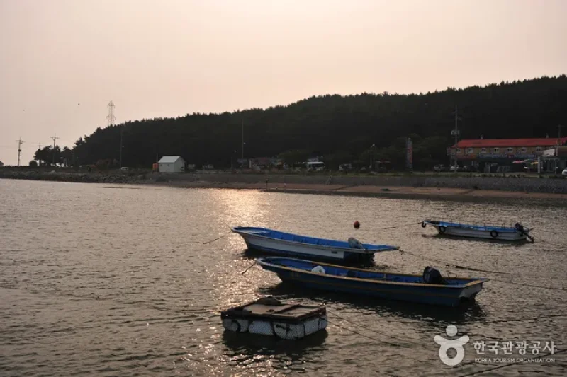 巨蚕浦海岸