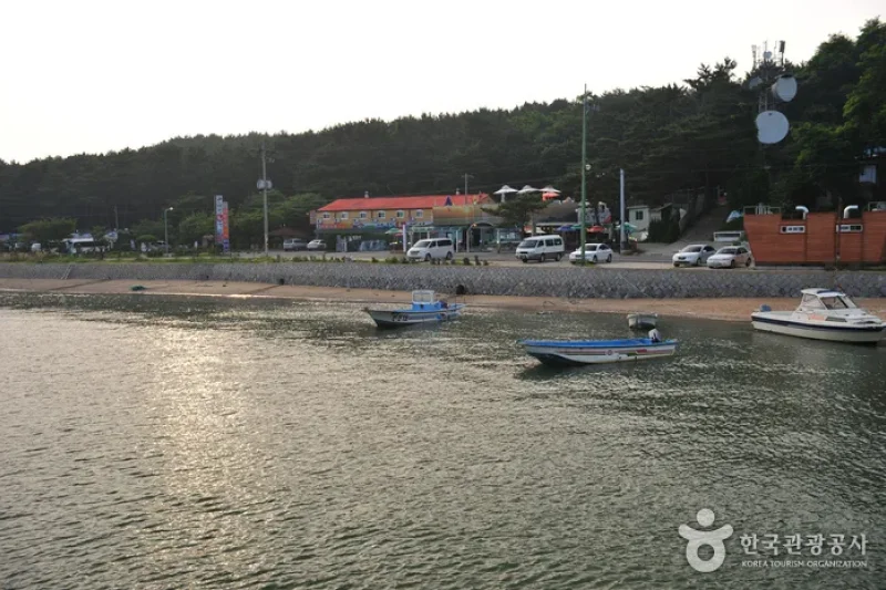 巨蚕浦海岸
