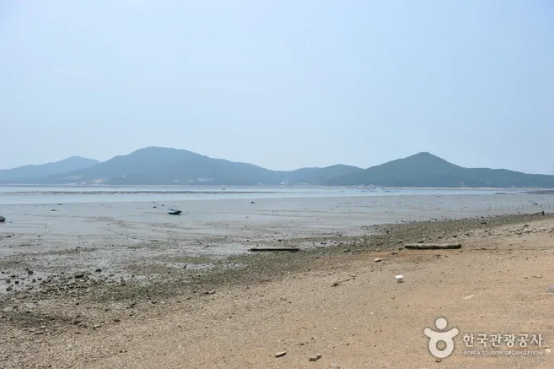巨蚕浦海岸