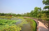 ハンバッ樹木園