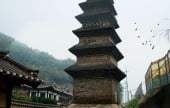 新世洞七層塼塔