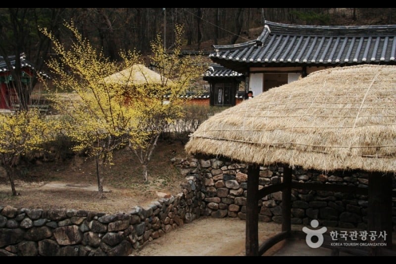 伝統文化コンテンツ博物館