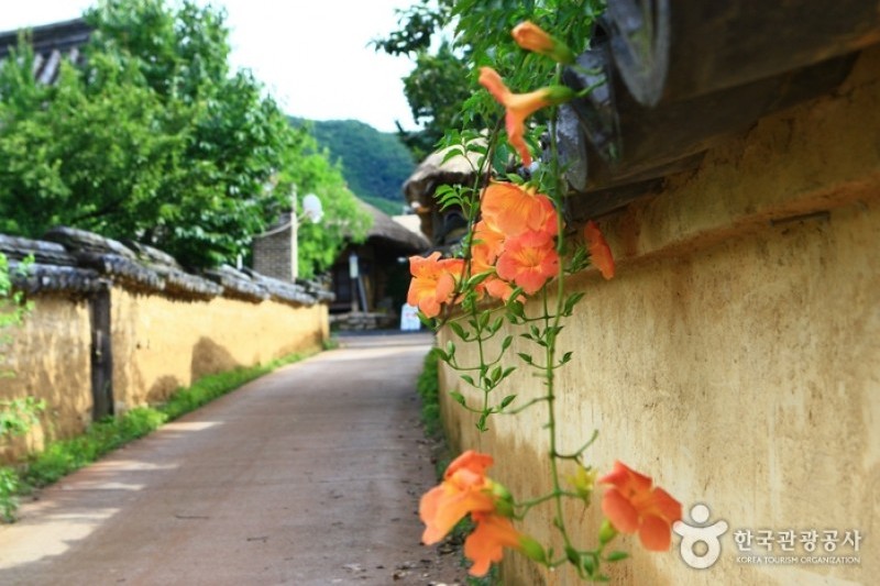 安東河回村［ユネスコ世界文化遺産］