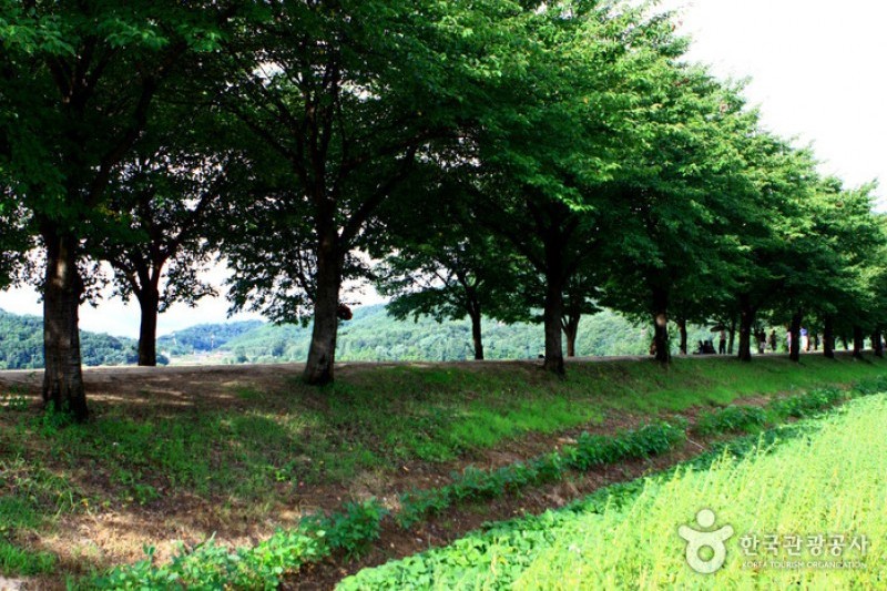 安東河回村［ユネスコ世界文化遺産］