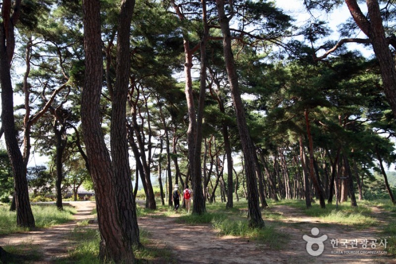 安東河回村［ユネスコ世界文化遺産］