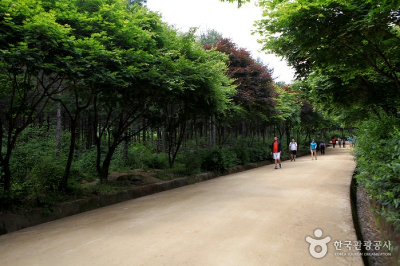 聞慶セジェ道立公園