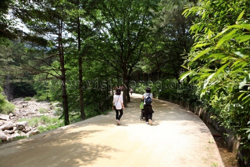 聞慶セジェ道立公園