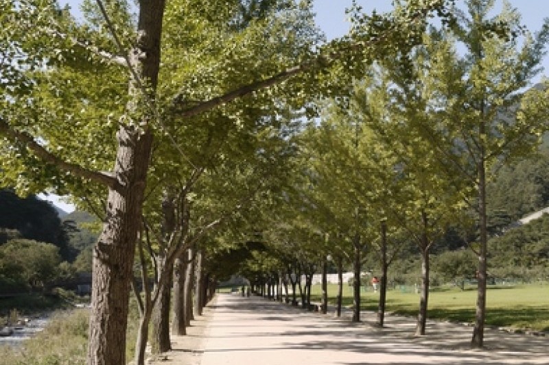 聞慶セジェ道立公園