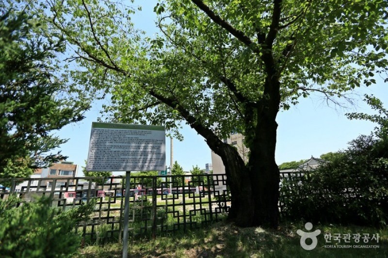 東部洞五層塼塔
