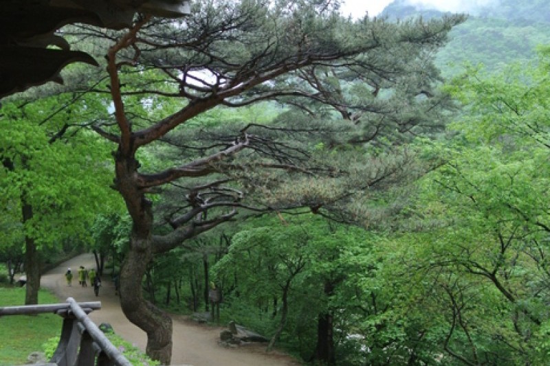 聞慶セジェ道立公園