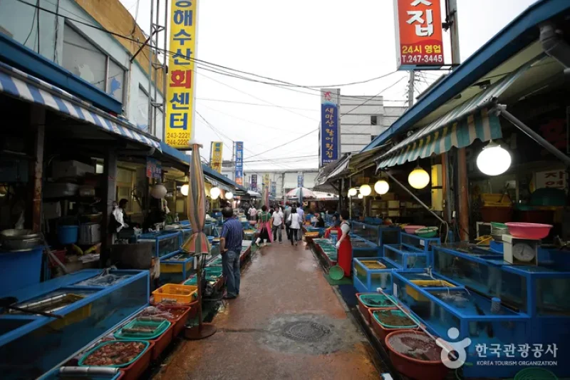 馬山魚市場（마산어시장）