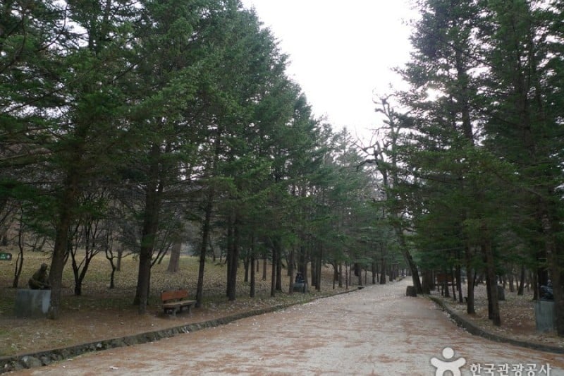 俗離山国立公園（忠清北道）（속리산국립공원