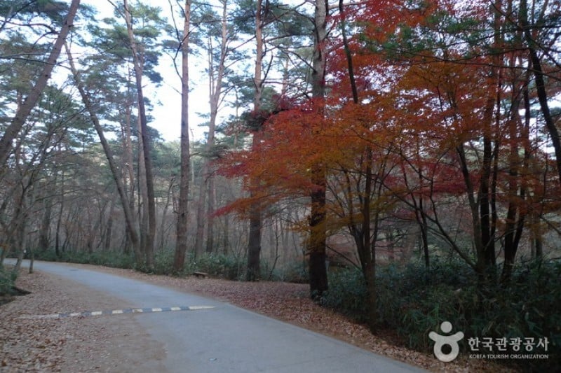 俗離山国立公園（忠清北道）（속리산국립공원