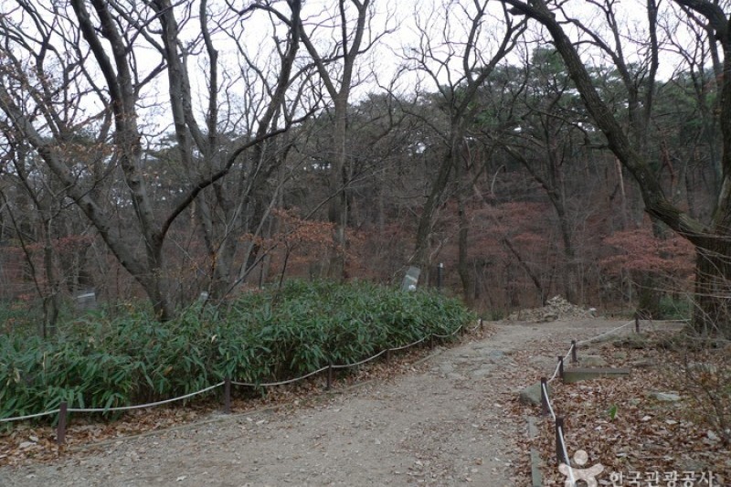 法住寺