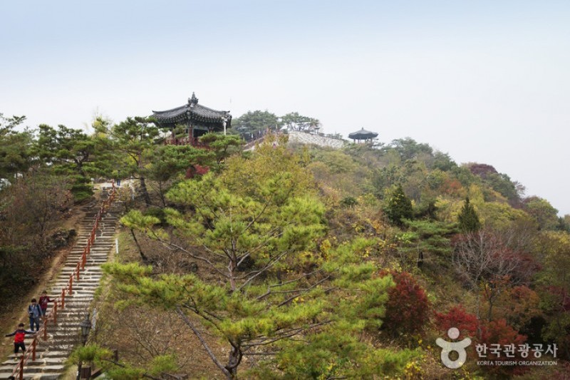 清風文化財団地