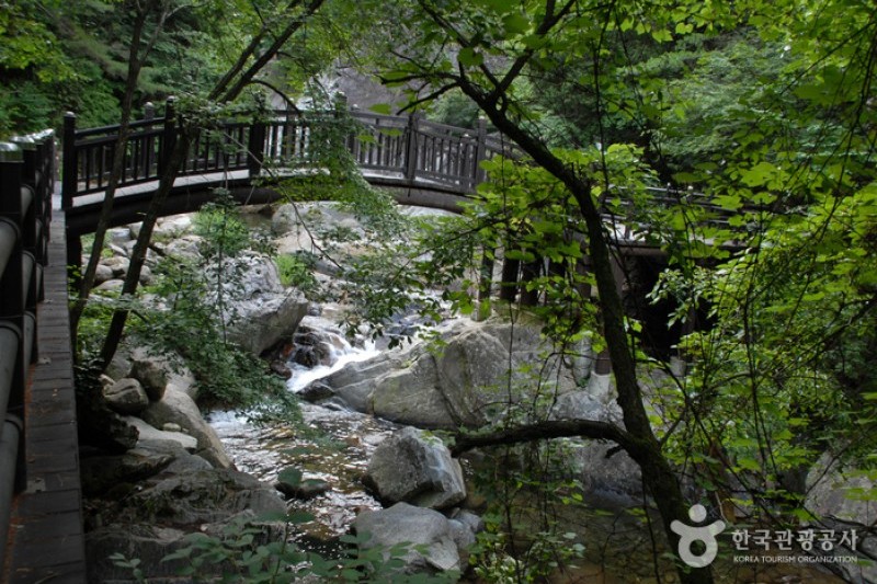 小白山国立公園（北部）（소백산국립공원