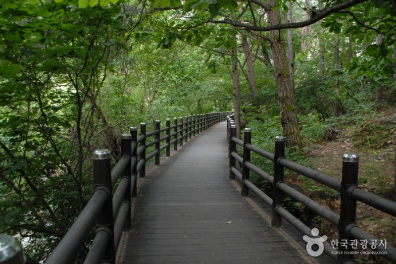 小白山国立公園（北部）（소백산국립공원