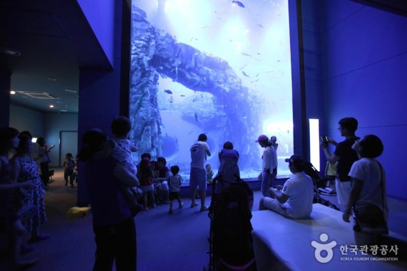 丹陽タヌリアクアリウム