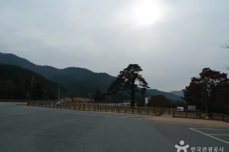 報恩俗離正二品松