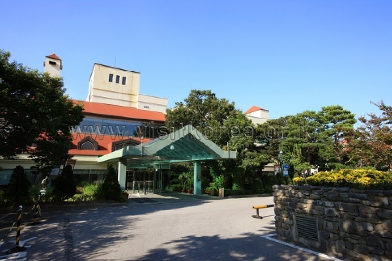 温陽温泉地区