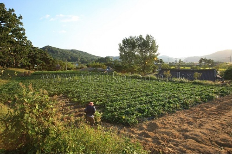 牙山外岩民俗村