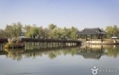薯童公園と宮南池