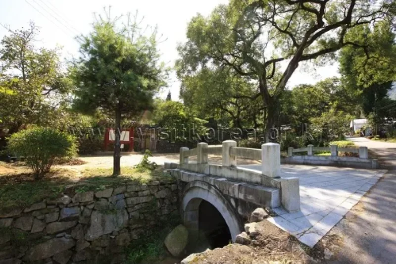 牙山 孟氏杏檀