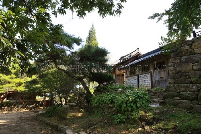 牙山 孟氏杏檀
