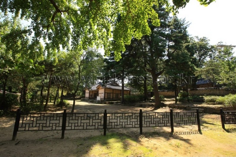 牙山 孟氏杏檀