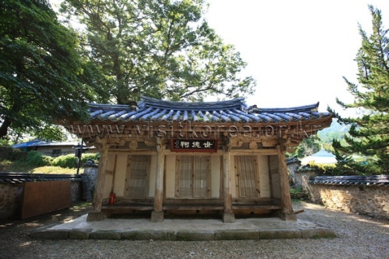 牙山 孟氏杏檀