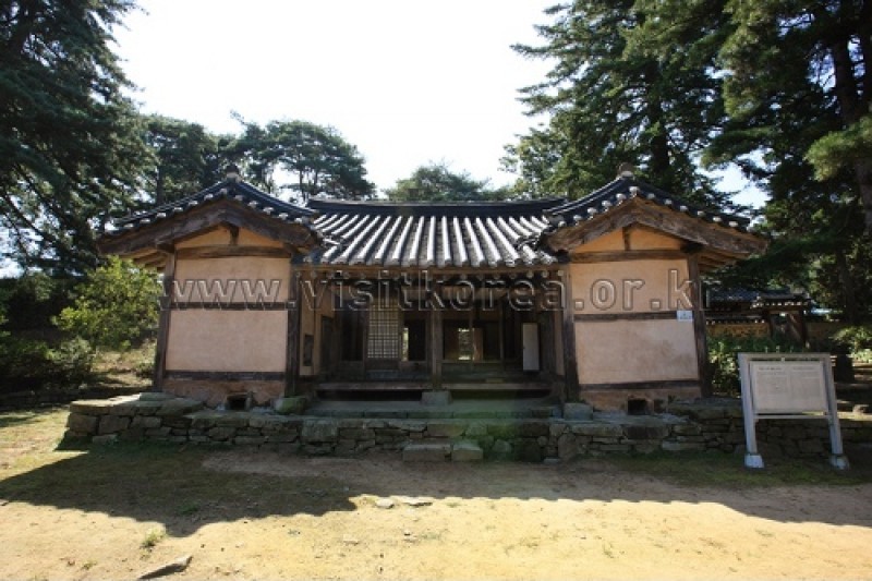 牙山 孟氏杏檀