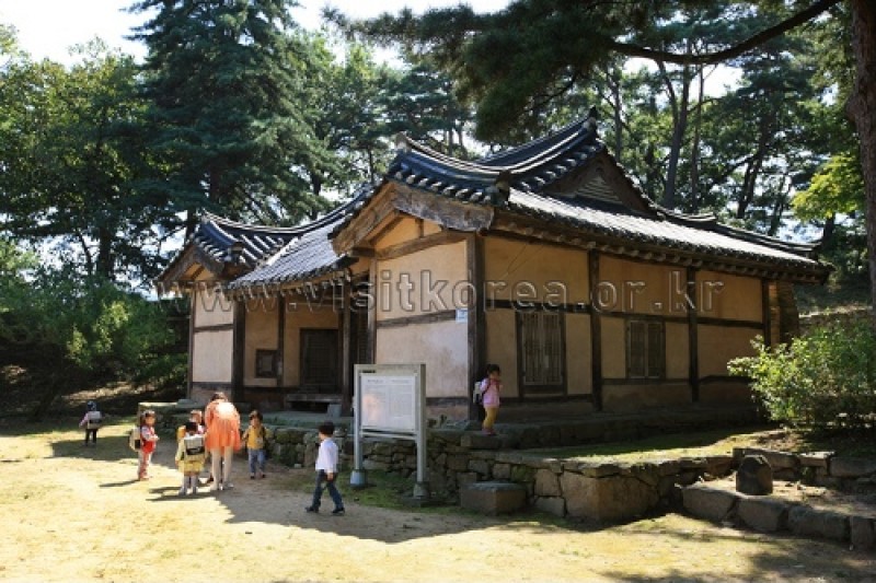 牙山 孟氏杏檀