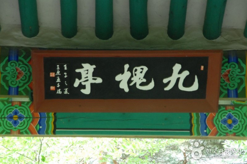 牙山 孟氏杏檀
