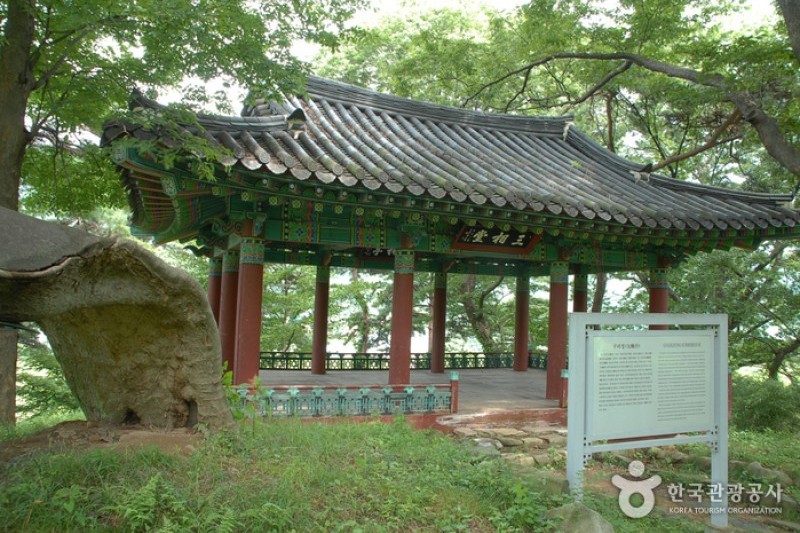 牙山 孟氏杏檀