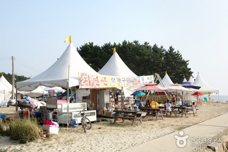 青浦台海水浴場