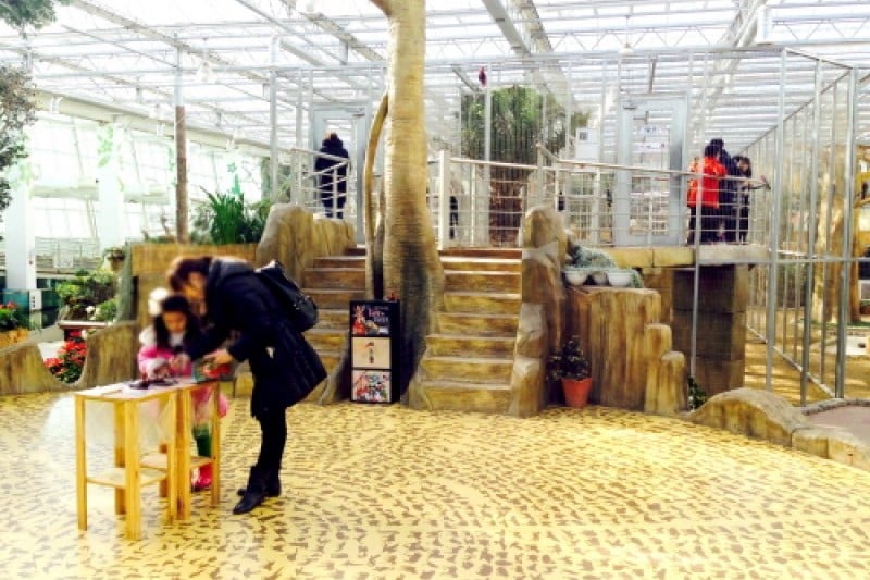 慶州バードパーク