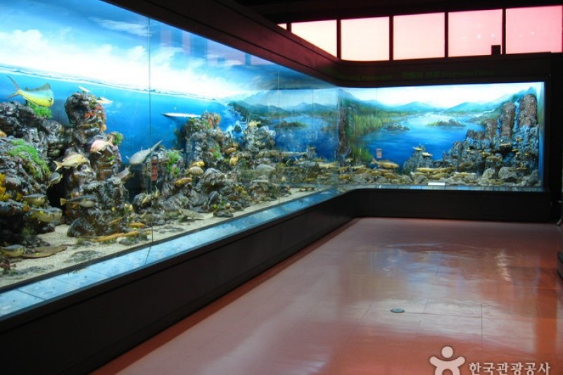 国立中央科学館