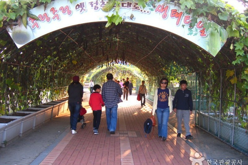 国立中央科学館