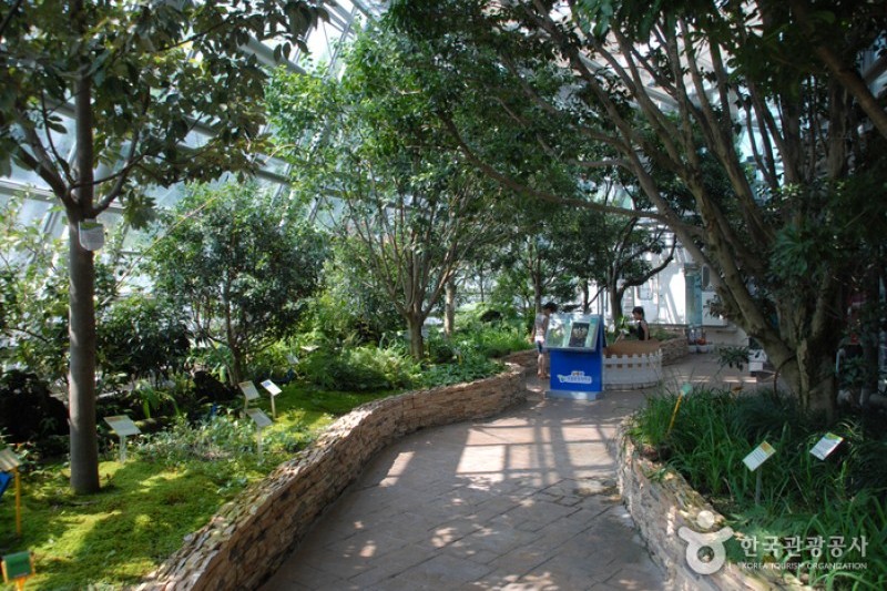 国立中央科学館