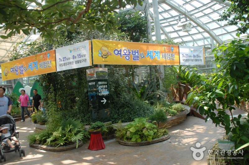 国立中央科学館