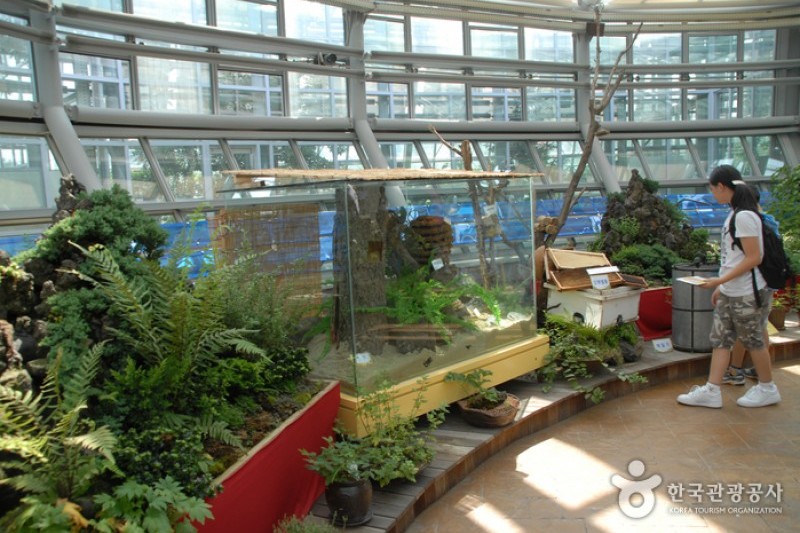 国立中央科学館