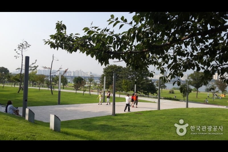 漢江市民公園 汝矣島地区（汝矣島漢江公園）한강시민공원 여의도지구