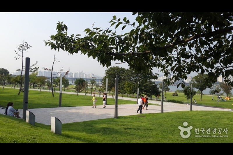 漢江市民公園 汝矣島地区（汝矣島漢江公園）한강시민공원 여의도지구