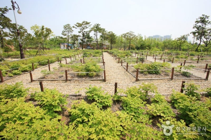ハンバッ樹木園