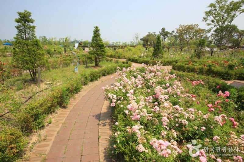 ハンバッ樹木園