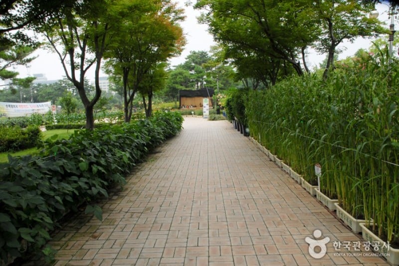 ハンバッ樹木園